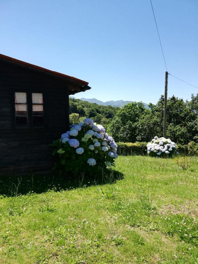 La Casa Nueva Alojamiento Rural Cereceda  Εξωτερικό φωτογραφία
