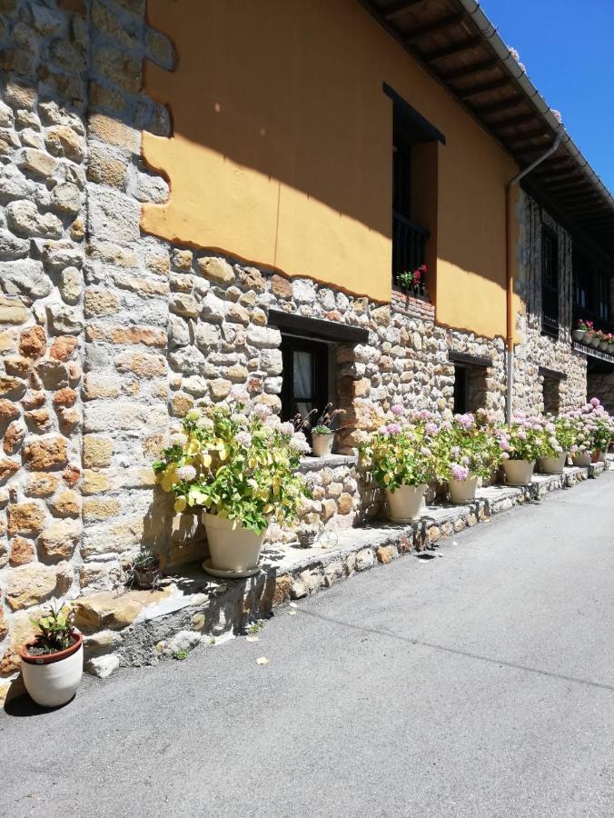 La Casa Nueva Alojamiento Rural Cereceda  Εξωτερικό φωτογραφία