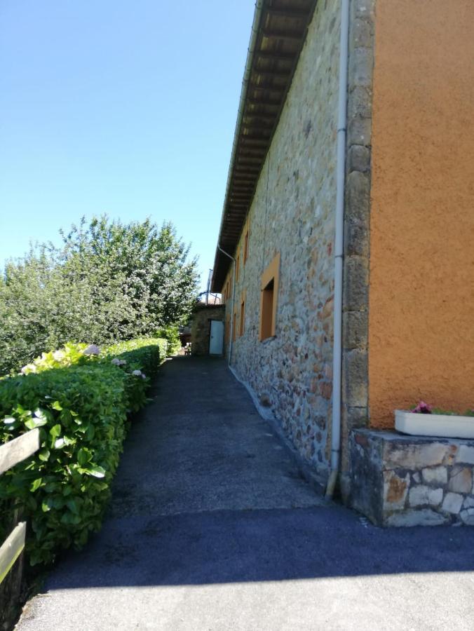 La Casa Nueva Alojamiento Rural Cereceda  Εξωτερικό φωτογραφία
