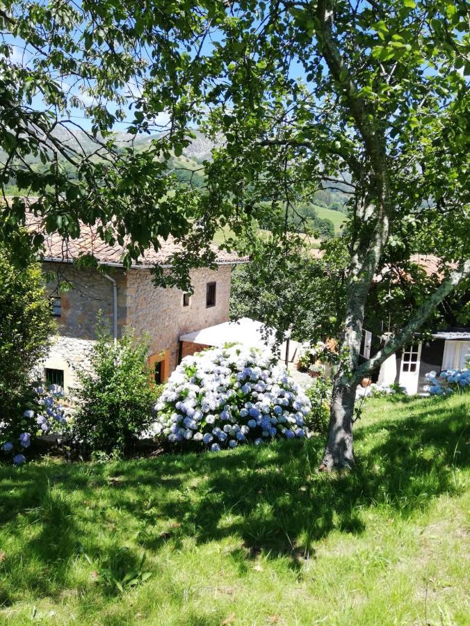 La Casa Nueva Alojamiento Rural Cereceda  Εξωτερικό φωτογραφία