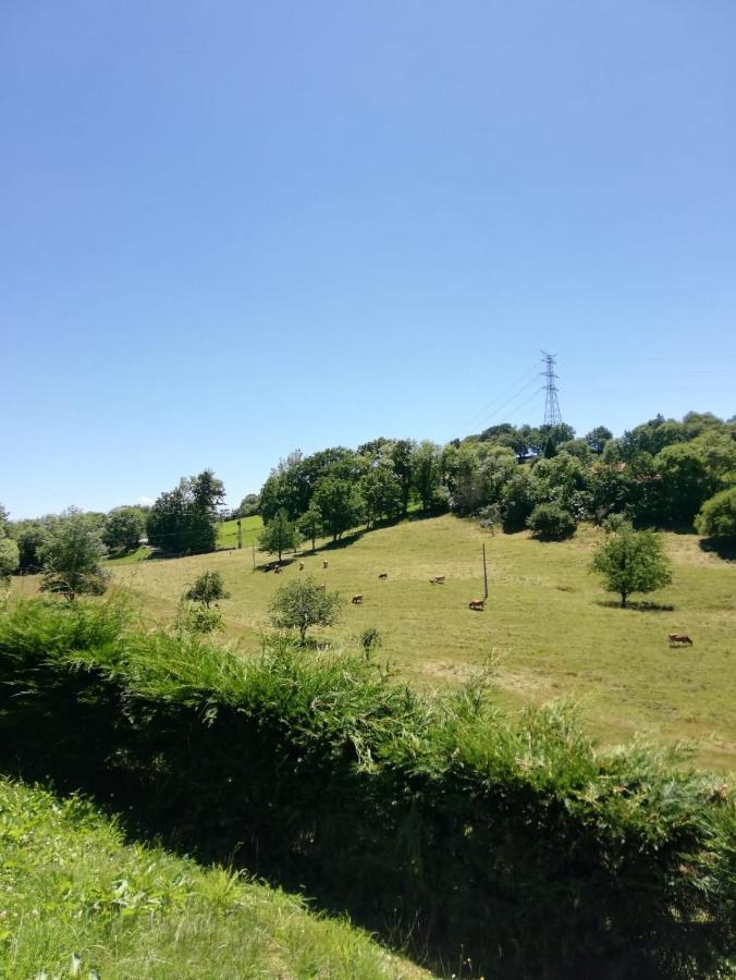 La Casa Nueva Alojamiento Rural Cereceda  Εξωτερικό φωτογραφία