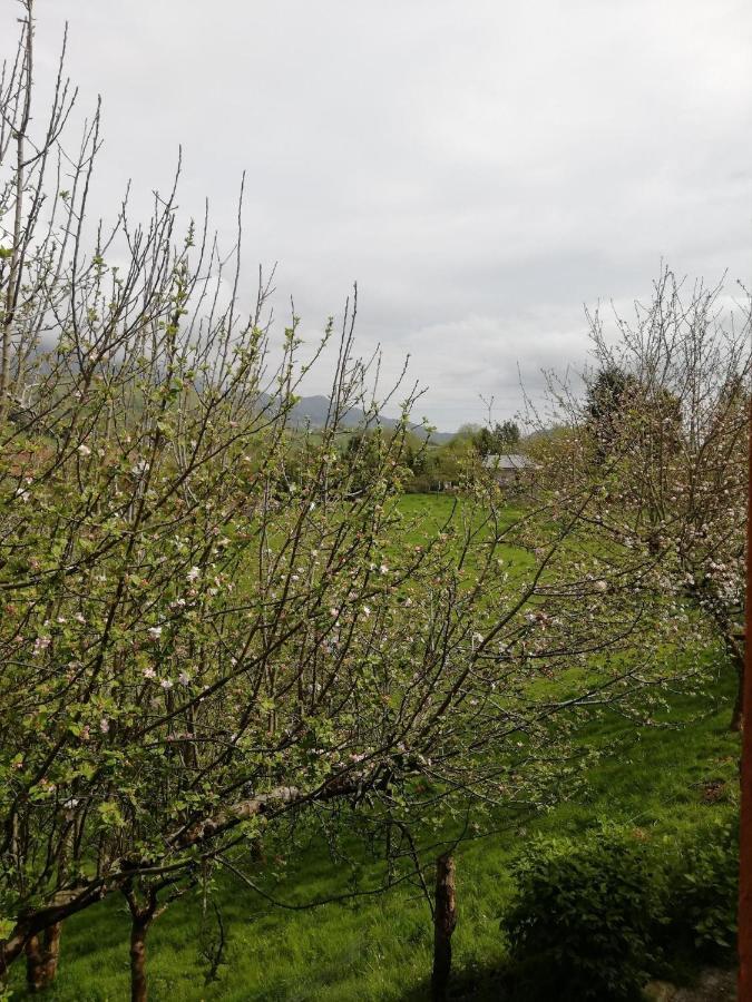 La Casa Nueva Alojamiento Rural Cereceda  Εξωτερικό φωτογραφία