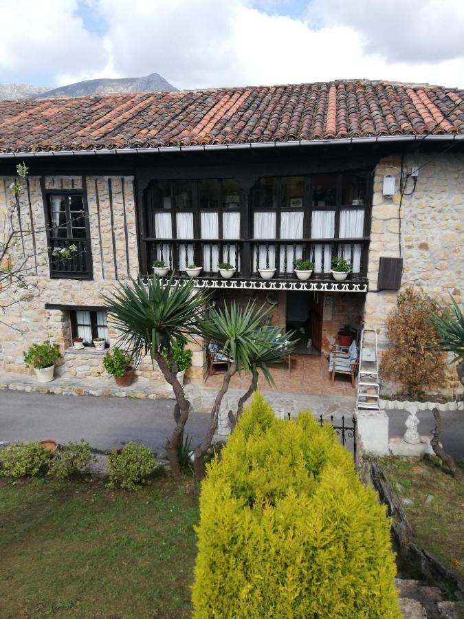 La Casa Nueva Alojamiento Rural Cereceda  Εξωτερικό φωτογραφία
