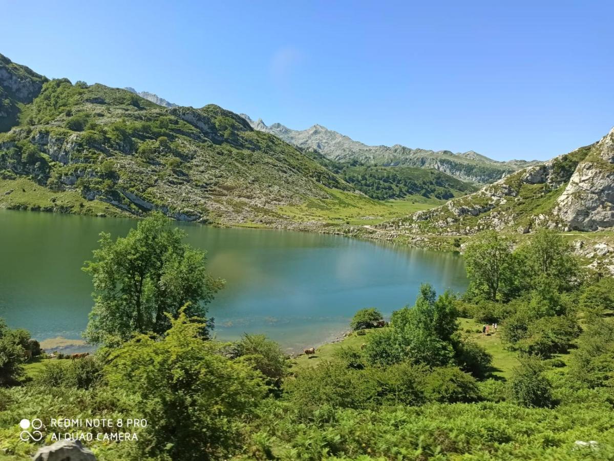 La Casa Nueva Alojamiento Rural Cereceda  Εξωτερικό φωτογραφία