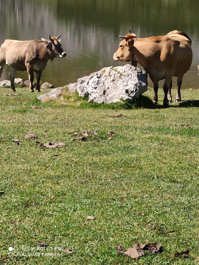 La Casa Nueva Alojamiento Rural Cereceda  Εξωτερικό φωτογραφία