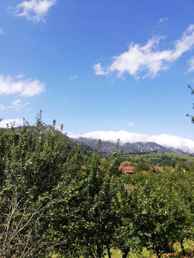 La Casa Nueva Alojamiento Rural Cereceda  Εξωτερικό φωτογραφία